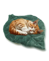 Rzxlszy cat mat with leaf-design offers cozy warmth for indoor lounging