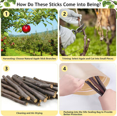 Sadaunbe apple sticks pack ready for daily pet chew enrichment