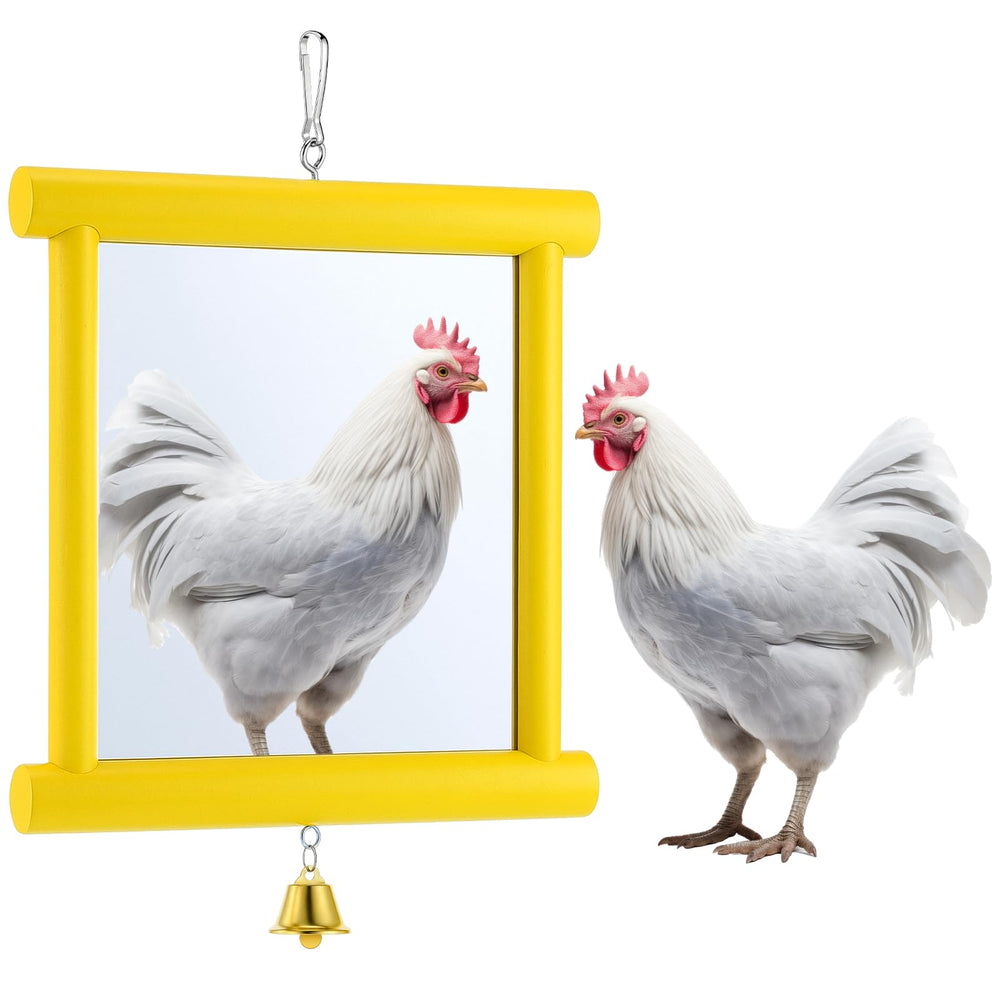 Sadnyy chicken mirror toy extra large hanging in coop for visual enrichment.