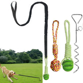 SailStart dog bungee tug toy on lawn stake for durable outdoor play