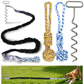 SailStart dog bungee tug toy stake setup on lawn for interactive play
