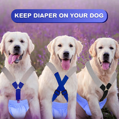 Saintrygo dog suspenders in black worn on a pet