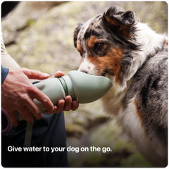 SAKER Slurpy Sack collapsible water bag that doubles as a portable dog bowl.