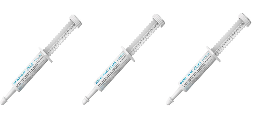 Sakioo Pet Gel 15g 3-pack syringes support easy dosing and gut balance.