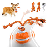 Salodal Peppy Pet Ball on carpet stimulates active play and mental engagement.