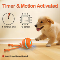 Salodal Peppy Pet Ball with rope teaser encourages interactive play and bonding.