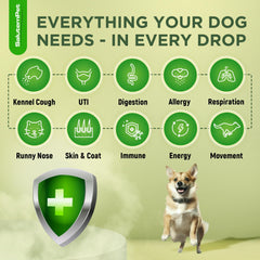 SalutemPet antibiotic dog dropper for easy at-home dosing