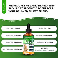 SalutemPet cat probiotics ingredient panel highlighting prebiotic synergy.