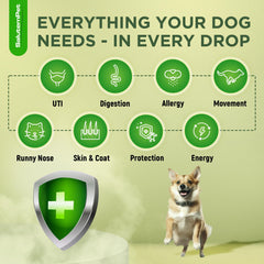 Chicken-flavor SalutemPet supplement makes dosing easier for dogs.