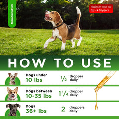 SalutemPet herbal ingredients support digestion and comfort for pets