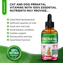 SalutemPet prenatal liquid drops close-up for easy pet dosing.