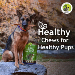 Sancho & Lola's Closet low-odor bully sticks—free-range grass-fed beef.