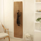 Sandpeak cat wall climber shows quick installation for easy setup and active play.