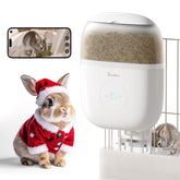 Sandpoy hanging feeder with 1080p camera for real-time monitoring