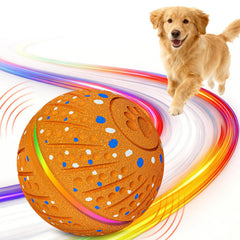 Sankell interactive ball with rolling lights to attract dogs and promote active play.