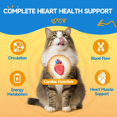 SANTKOL Cat Cardiac Support formula illustration with key ingredients.