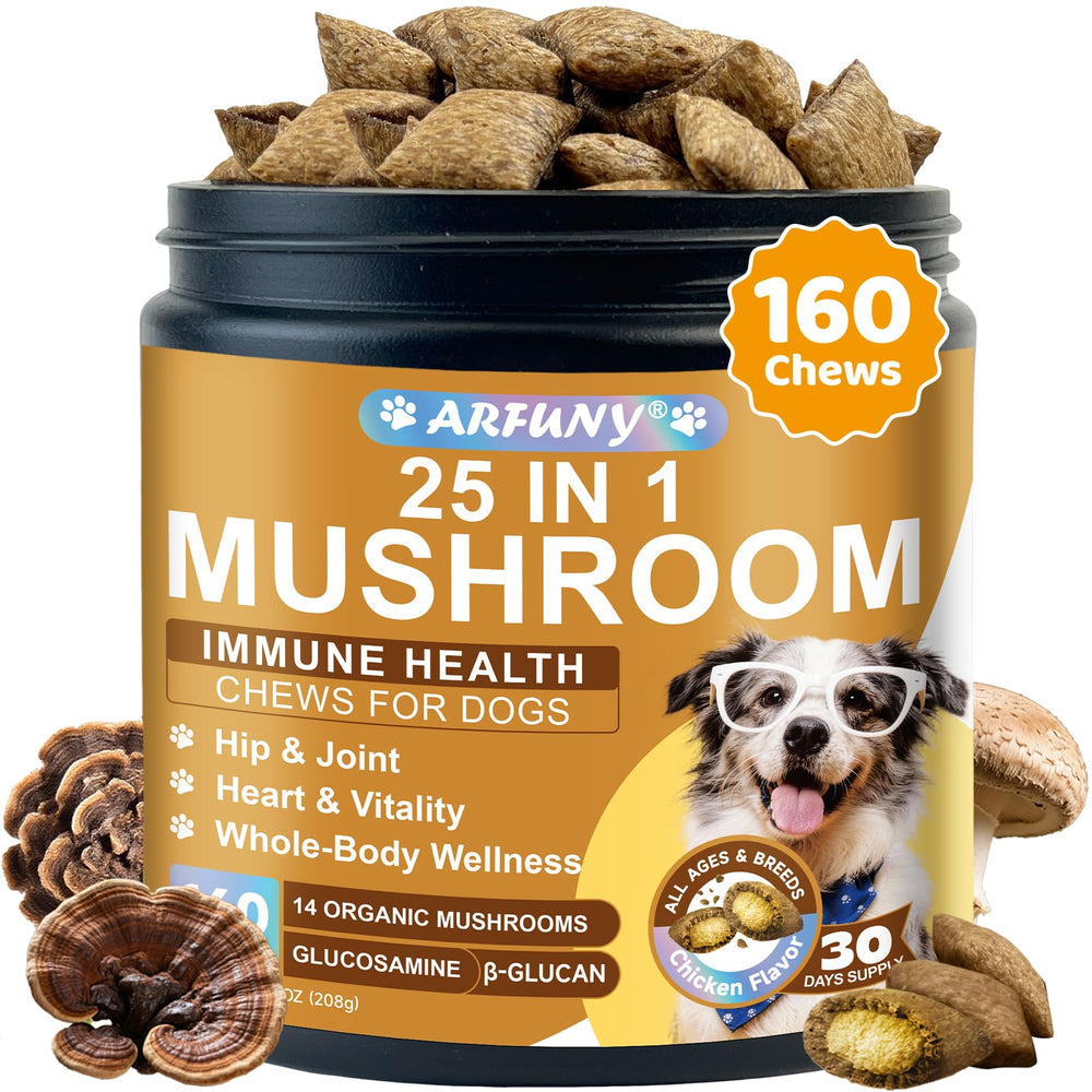 SANTKOL Dog Mushroom Chews package front for daily immune and joint support.