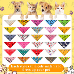 Sanwuta colorful set offers versatile daily fashion for pets