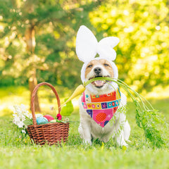 Sanwuta Easter bandana in assorted colors for daily wear and fun events.