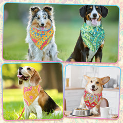 Sanwuta paisley dog bandana in vibrant colors for photos and parties.