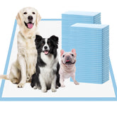 SCLOSE extra-large pee pad 36x36 pack shot for home training.