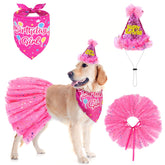 SCENEREAL dog birthday bandana in rose red for festive photos and celebrations
