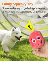 SCHITEC Squeaky Dog Toy soft plush exterior gentle on playful bites.