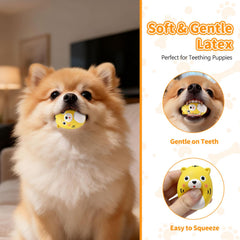 SCHITEC soft natural latex is comfortable to chew and durable enough for playful sessions.