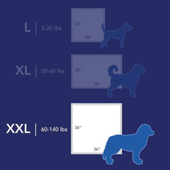 Scott Pet Guard Dog Pads XXL leak-free layer prevents spills for potty training