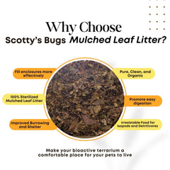 SCOTTY'S BUGS leaf-litter-terrarium-bottom creates realistic feeding and hiding areas in tanks.
