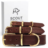 Scout Supply Co. classic leather collar close-up showing durable full-grain leather for daily wear.