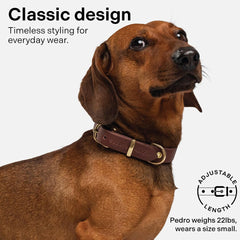Scout Supply Co. patina-forming leather finish on a dog collar after months of wear.