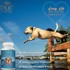 Serving spoon showing daily use of ScruffyPet Omega-3 for dogs