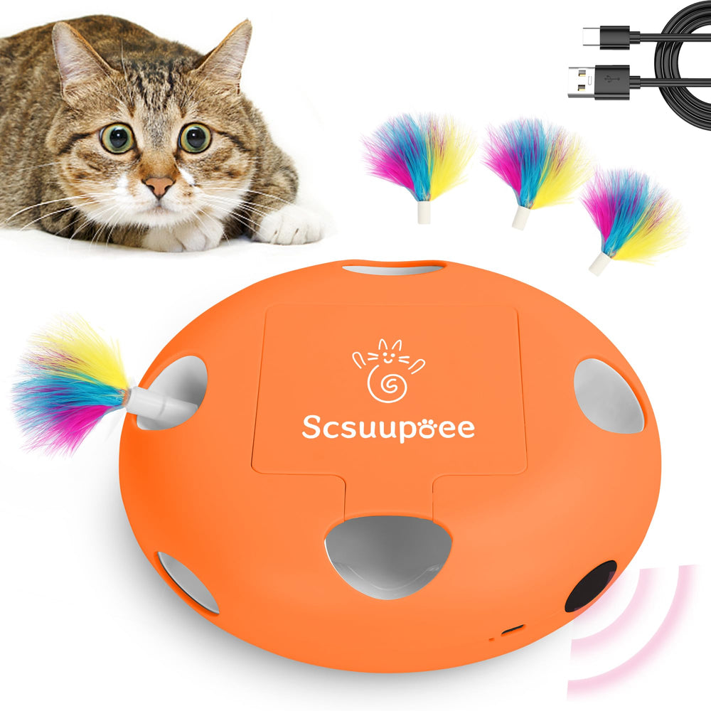 Scsuupoee 2-in-1 cat toy with pop-up feather for indoor play.