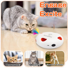 Scsuupoee cat toys rounded-appearance safety friendly design and stable placement
