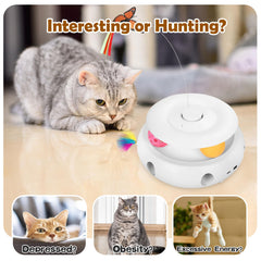 Scsuupoee feather and track balls in movement, stimulating hunting-like play indoors.