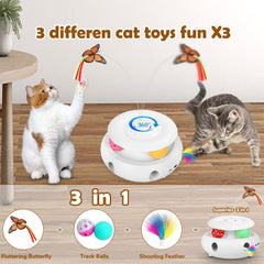 Scsuupoee whack-a-mole holes game engages cats with moving targets inside.