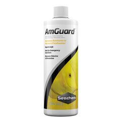 Seachem AmGuard 500ml bottle ready for rapid ammonia detox in a freshwater aquarium.