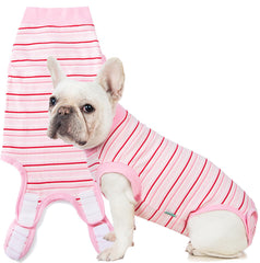Sebidtco recovery suit protects stitches after dog surgery.