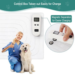 SEERWAY Training Mat with 3 modes demonstrates tone and static corrections for behavior shaping.