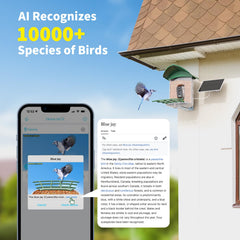 SEHMUA weatherproof bird feeder IP66 keeps feed protected from rain and dust.