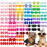 Senniea dog bows with crown design for stylish daily wear.