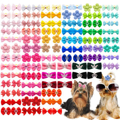 Senniea dog bows with crown design for stylish daily wear.