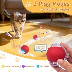 Sentoo elastic mesh tail with bells adds motion and sound engagement