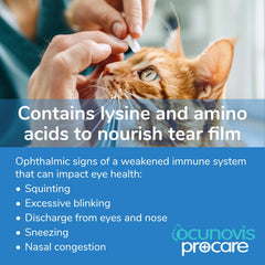 Close-up of gel texture indicating hydration for pets.