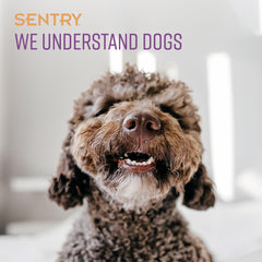 Sentry Calming Chews close-up shows texture and palatability