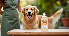 Packaging shows Hawaii Ginger scent and 63.5 oz size for dogs.