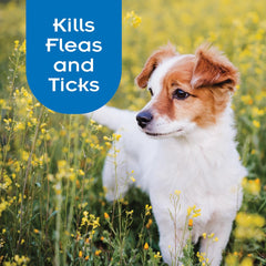 Sentry Pro flea & tick shampoo lather ready to clean a dog's coat