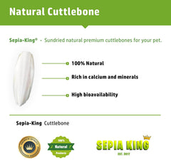 Sepia King tortoise shell health cuttlebone promoting calcium for shell strength