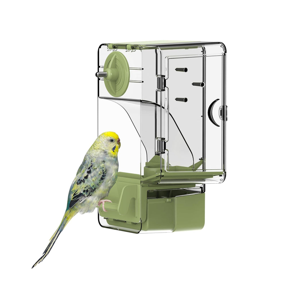 Septillar automatic feeder front view with perch, mess-free feeding for small birds.